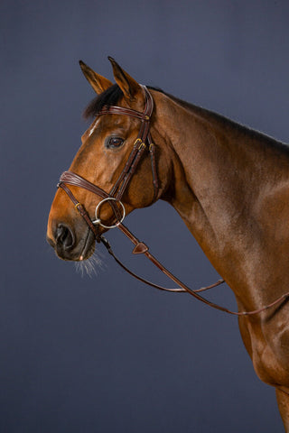 Dyon D Collection anatomic flash noseband bridle Brown