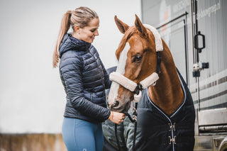 ONE Equestrian halter sheepskin