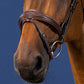 Dyon US Jumping Anatomic Flash Noseband Bridle Brown