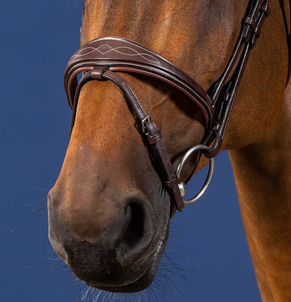 Dyon US Jumping Anatomic Flash Noseband Bridle Brown